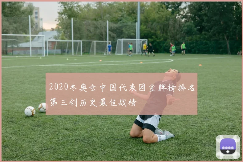 2020冬奥会中国代表团金牌榜排名第三创历史最佳战绩